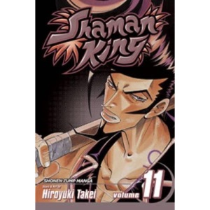 Shaman King: v. 11 (Shaman King)