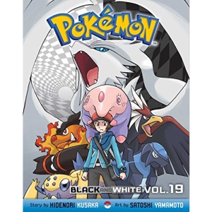 Pokemon Black & White 19