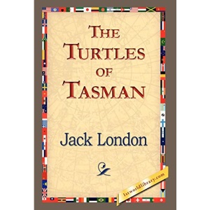 The Turtles of Tasman