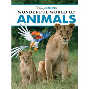 Wonderful World of Animals