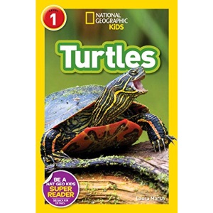 Turtles (National Geographic Readers: Level 1)
