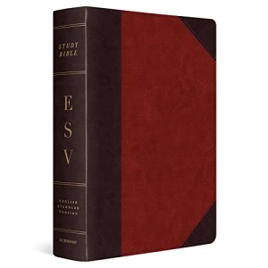 ESV Study Bible, Large Print (TruTone, Brown/Cordovan, Portfolio Design): English Standard Version, Brown/Cordovan, Trutone, Portfolio Design