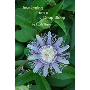 Awakening From A Deep Sleep