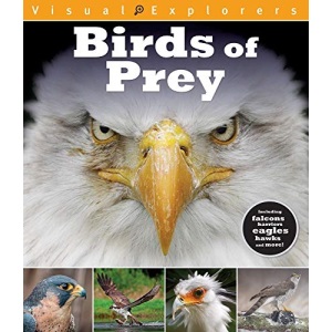 Birds of Prey (Visual Explorers)