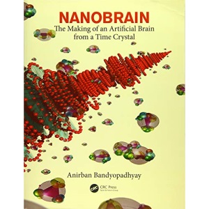Nanobrain: The Making of an Artificial Brain from a Time Crystal
