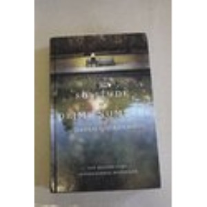 The Solitude Of Prime Numbers