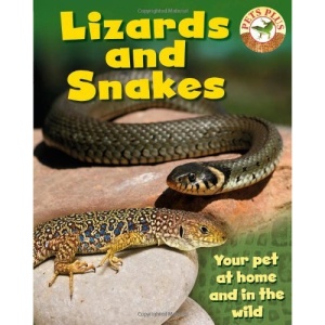 Lizards and Snakes (Pets Plus)