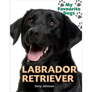 My Favourite Dogs: Labrador Retriever