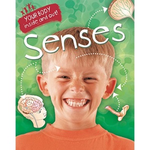 Your Body: Inside and Out: Senses
