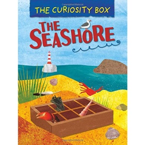 The Curiosity Box: The Seashore