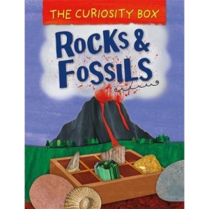 The Curiosity Box: Rocks and Fossils