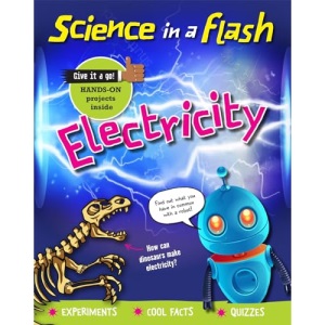 Electricity (Science in a Flash)