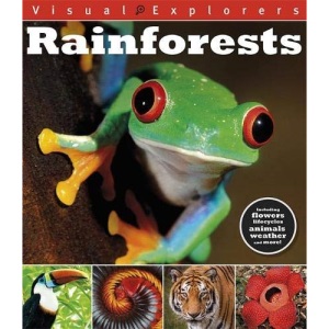 Rainforests (Visual Explorers)