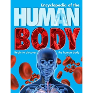 Encyclopedia of the Human Body: Begin to Discover the Human Body
