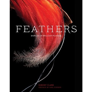 Feathers: Displays of Brilliant Plumage