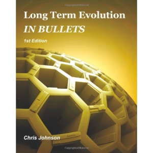 Long Term Evolution in Bullets