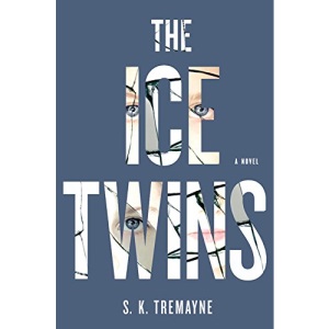 The Ice Twins