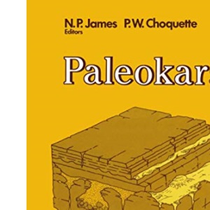 Paleokarst