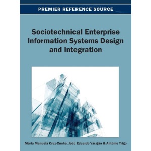 Sociotechnical Enterprise Information Systems Design and Integration