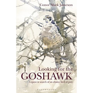 Looking for the Goshawk