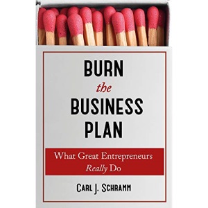 Burn The Business Plan: What Great Entrepreneurs Really Do