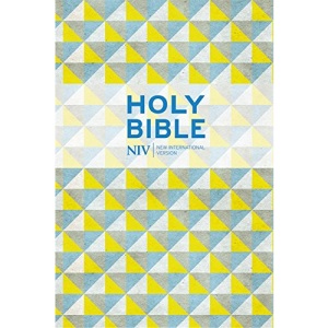 NIV Pocket Hardback Bible