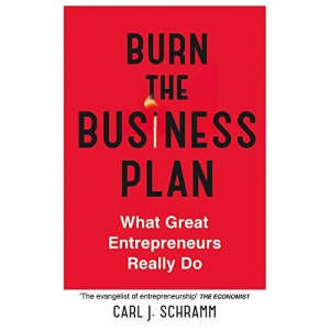 Burn The Business Plan: What Great Entrepreneurs Really Do