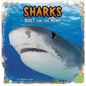Sharks: Built for the Hunt (Predator Profiles)
