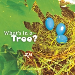 What's in a Tree? (Little Pebble: What's in There?)