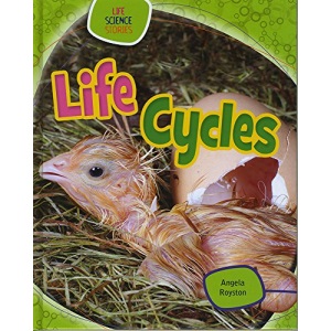 Life Cycles (Life Science Stories)