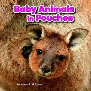 Baby Animals in Pouches (Little Pebble: Baby Animals and Their Homes)