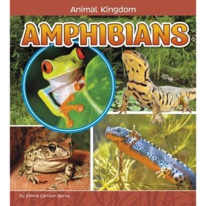 Animal Kingdom: Amphibians