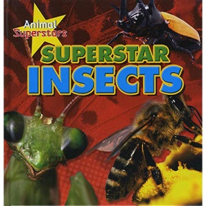 Animal Superstars: Insect Superstars