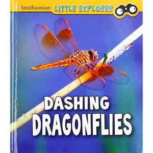 Insect Explorer: Dashing Dragonflies (Smithsonian Little Explorer: Insect Explorer)