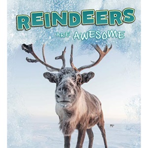 Polar Animals: Reindeer Are Awesome
