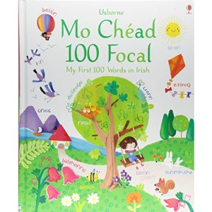 My First 100 Words in Irish (Big Picture Books)