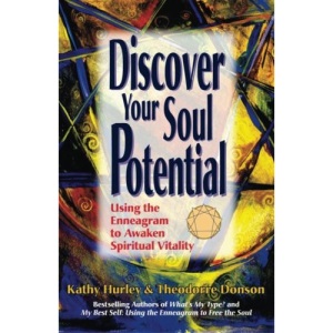 Discover Your Soul Potential: Using the Enneagram to Awaken Spiritual Vitality: Volume 1