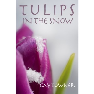 Tulips in the Snow