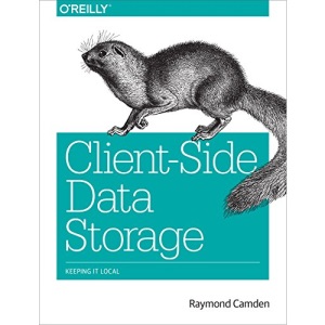 Client-Side Data Storage: Keeping It Local