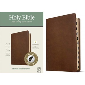 NLT Thinline Reference Bible, Filament Enabled Edition (Red