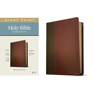 KJV Personal Size Giant Print Bible, Filament Edition, Brown