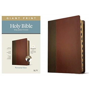 KJV Personal Size Giant Print Bible, Filament Edition, Brown
