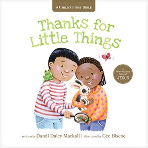Thanks for Little Things: A Heart-To-Heart Talk with Jesus (Child's First Bible)