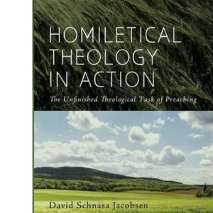 Homiletical Theology in Action (Promise of Homiletical Theology)