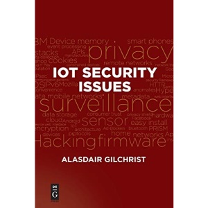 IoT Security Issues