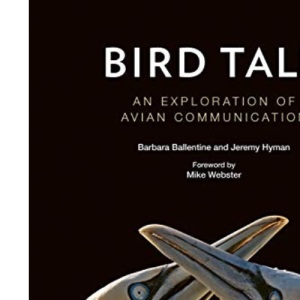 Bird Talk: An Exploration of Avian Communication