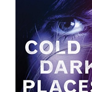 Cold Dark Places (Cady Maddix Mystery)