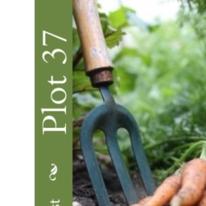 Plot 37: Building an Effective Allotment for Beginners