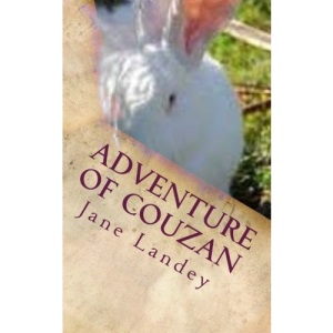 Adventure of Couzan: Chinese version