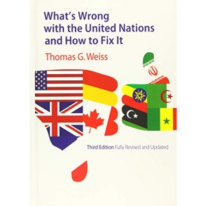 What's Wrong with the United Nations and How to Fix it